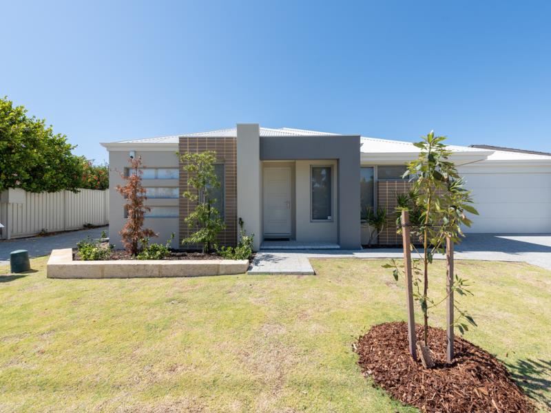 399A Hector Street, Yokine WA 6060