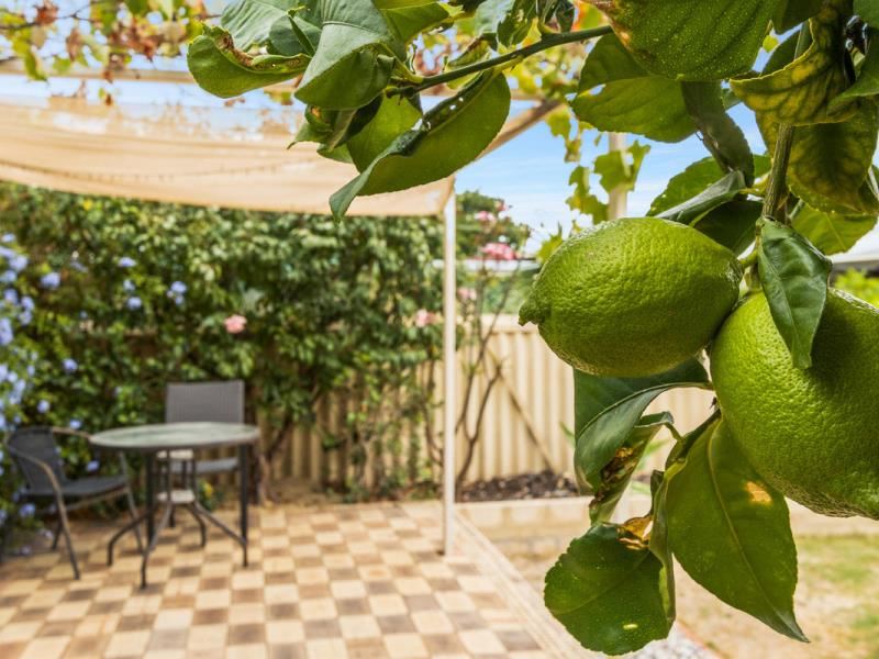 15A Neville Drive, Wanneroo