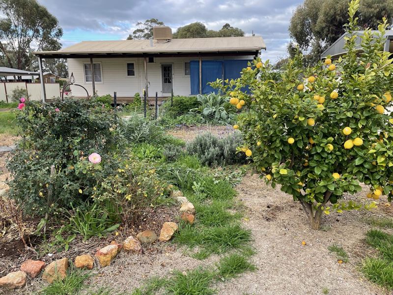 9 Monger  Street, Beverley