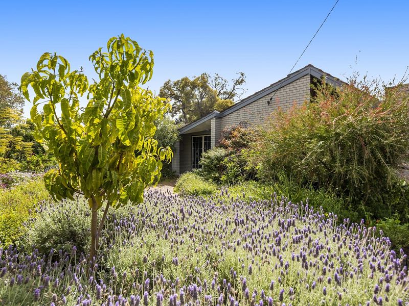 10 Meloway Drive, Maida Vale