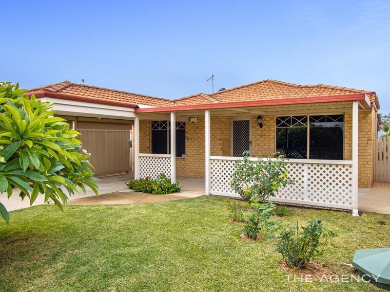 6 Jersey Way, Waikiki