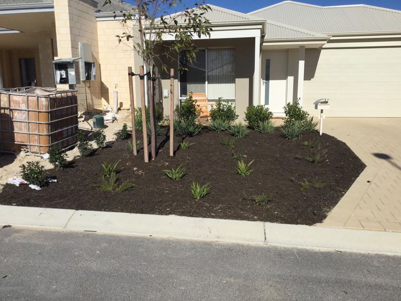 14 Spotted Way, Alkimos