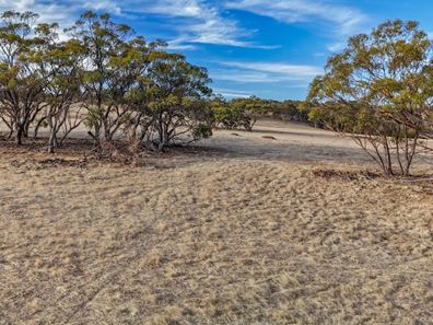 Toodyay WA 6566