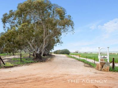 115 Minkadine Road, Kellerberrin WA 6410