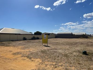 7 Donegal Street, Utakarra WA 6530
