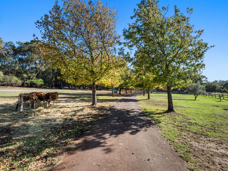 69 Dmietrieff Road, Bedfordale WA 6112