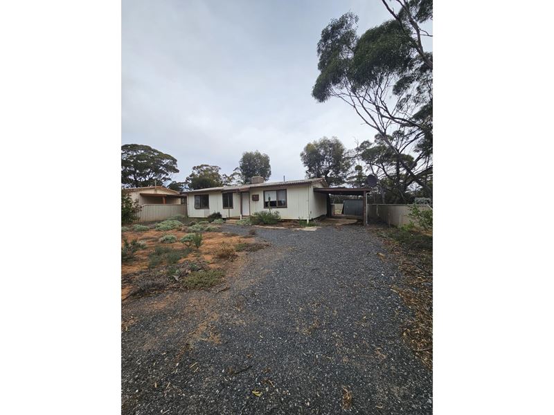 113 Goodliffe Street, Norseman WA 6443