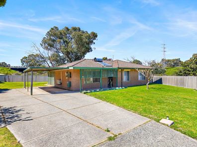 14 Potter Court, Spearwood WA 6163
