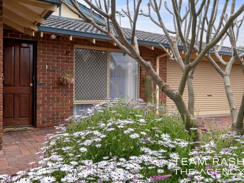 53 Valley Brook Road, Caversham