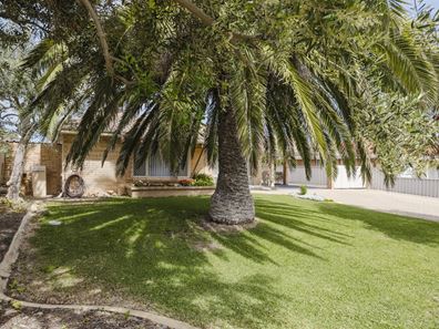 100 Damepattie Drive, Two Rocks WA 6037