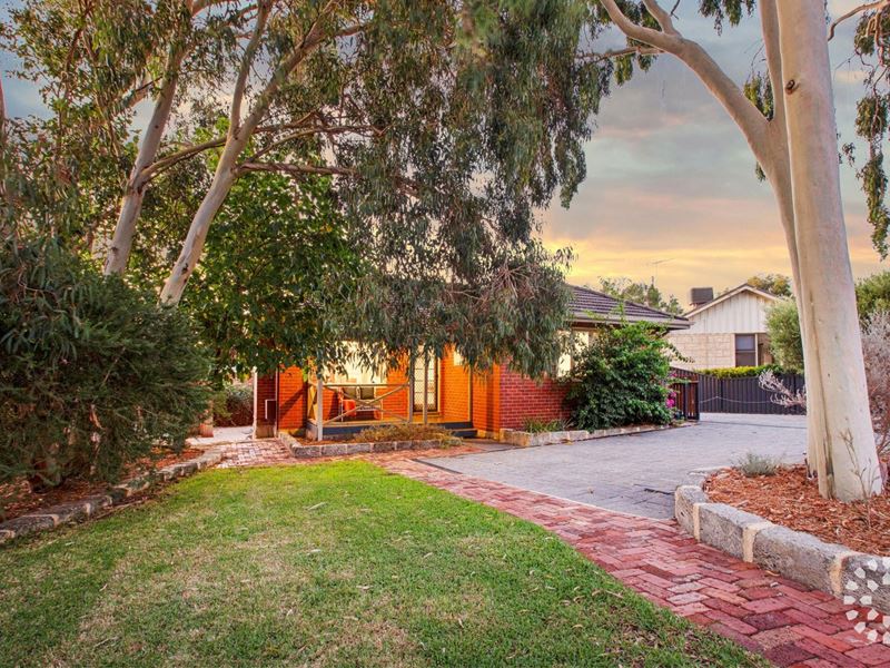 37 Tonkin Road, Hilton