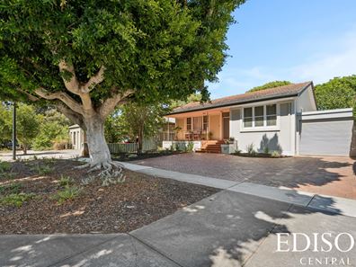 87 Bradford Street, Coolbinia WA 6050