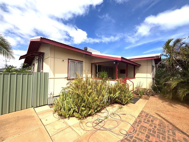 13 Pincombe Street, South Carnarvon