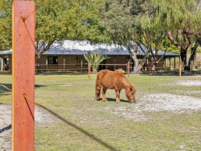 202 Lakelands Drive, Gnangara WA 6077