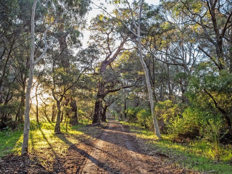 546 Boodjidup Road, Redgate