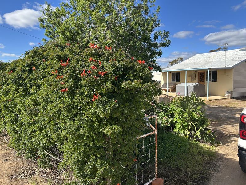 35 Allenby Street, Koorda