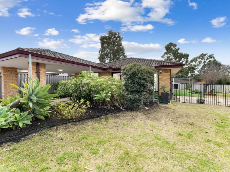 23 Reseda Elbow, Banksia Grove