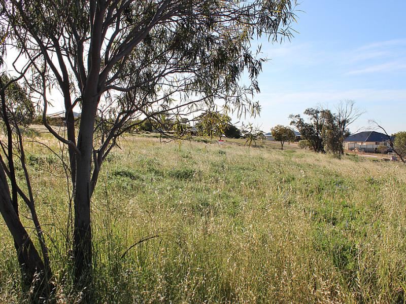 4 Marshall Place, Northam