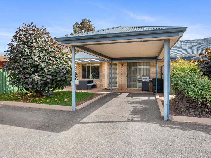 17/3 Great Eastern Highway, Somerville