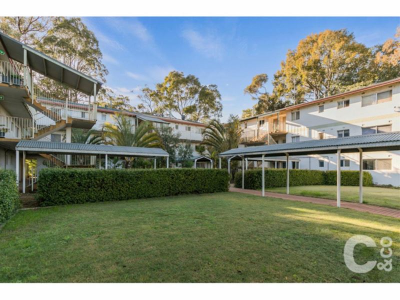 14/27 Partridge Street, Orelia