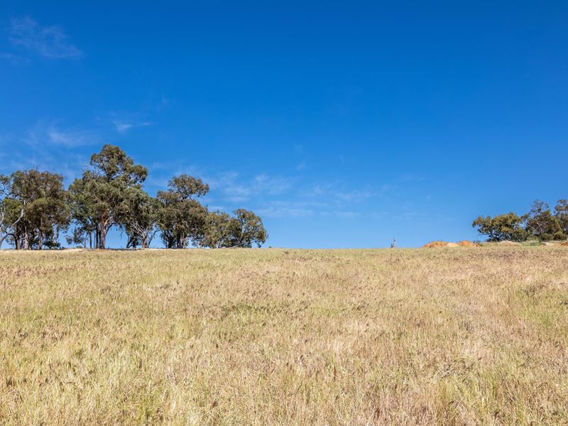 Lot 632,  Malvi Close, Lower Chittering
