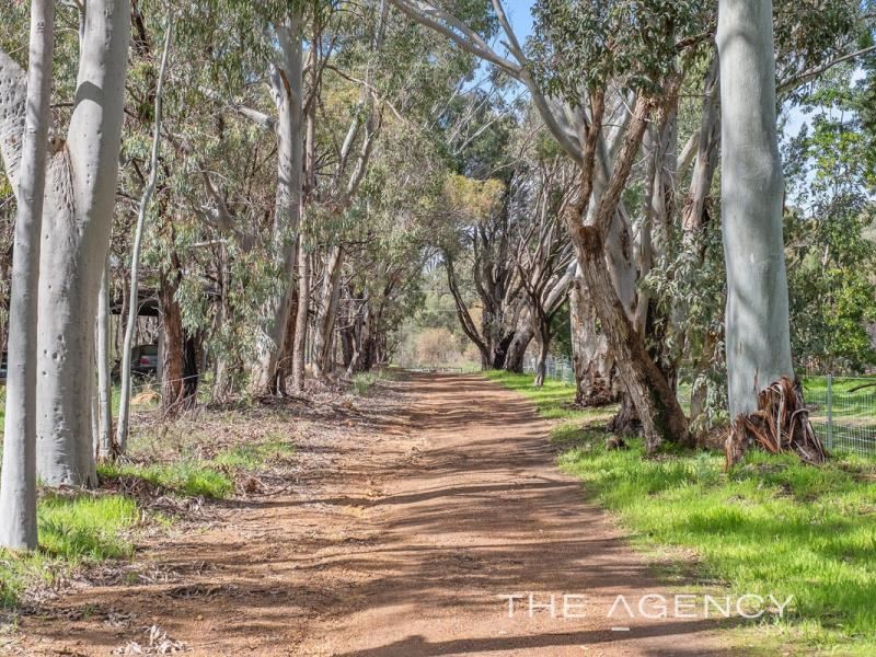 49 Waterford Drive, Gidgegannup WA 6083