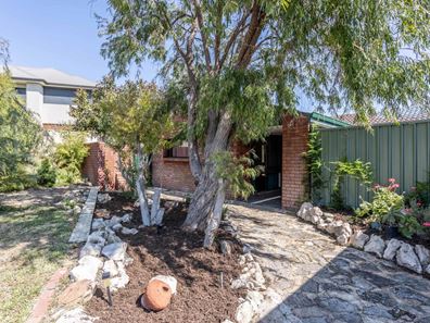 10 Totnes Grove, Yanchep WA 6035