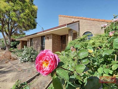 31 Garfield Street, Narrogin WA 6312