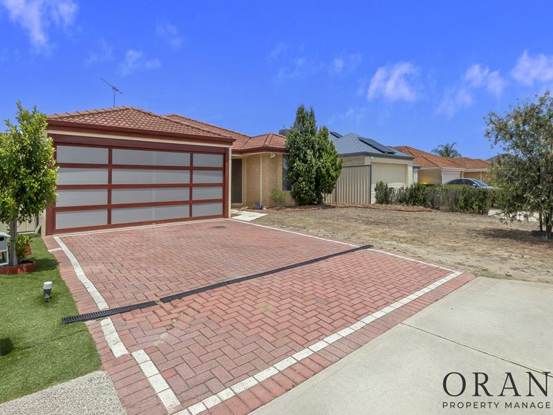 12 Cape York Ramble, Bertram