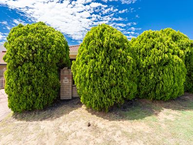 232 Flamborough Street, Doubleview WA 6018