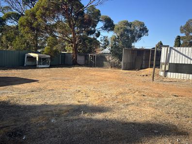 8 Coronation Street, Trayning WA 6488