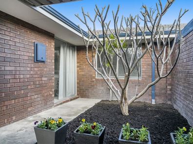 8/8-10 Hastings Street, Scarborough WA 6019