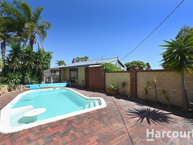 42 Redfin Crescent, Beldon