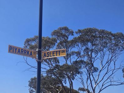 138 Aslett Drive, Karlkurla WA 6430