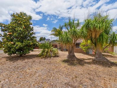 5 Dodds Place, Beechboro WA 6063