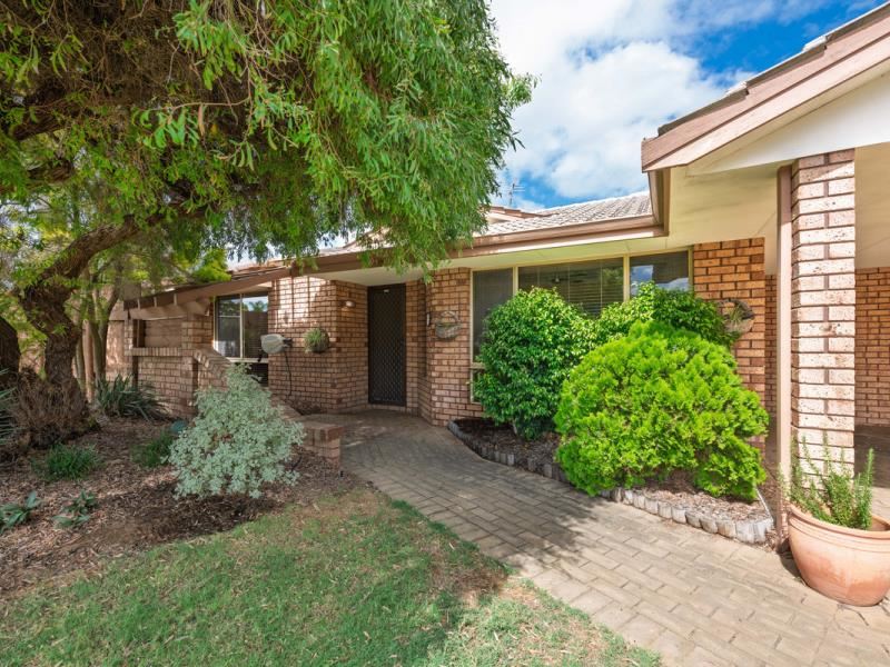 16 Javanica Court, Warnbro WA 6169