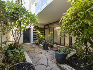 62 Meagher Drive, Floreat WA 6014