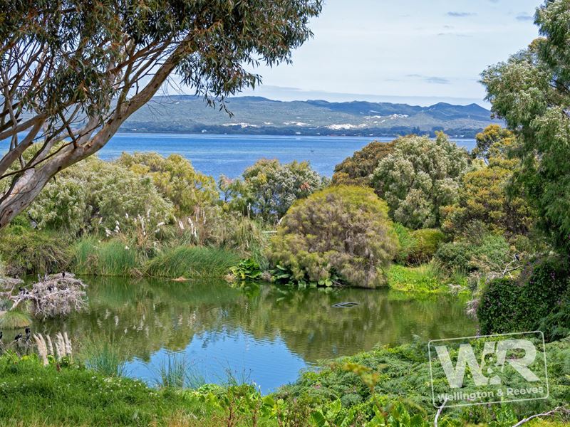 29 Festing Street, Albany