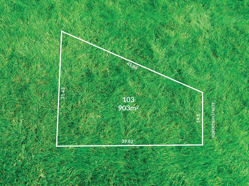 14 Robertson Street, Hazelmere WA 6055