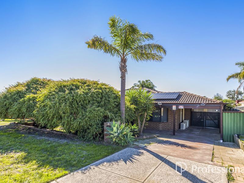 11 Glenmont Gardens, Ballajura WA 6066