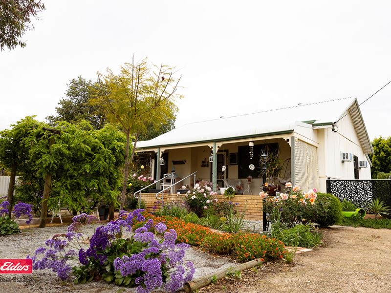 59 Haig Road, Merredin WA 6415