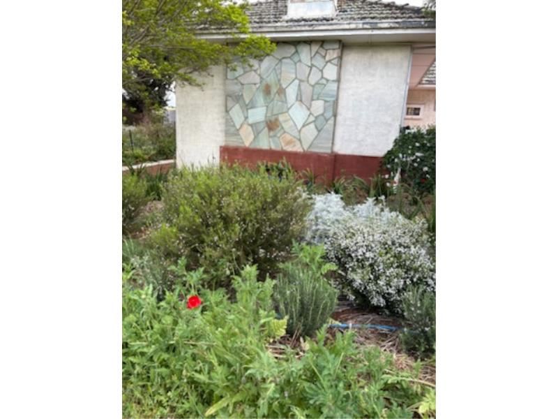 59 Ulster Road, York WA 6302