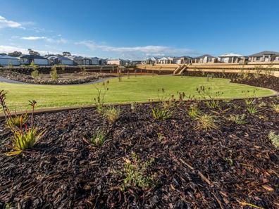 Lot 618 Beeliar Gardens, Beeliar WA 6164