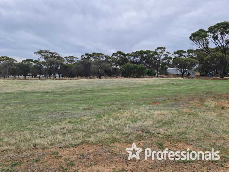 49 Carton Street, Cuballing