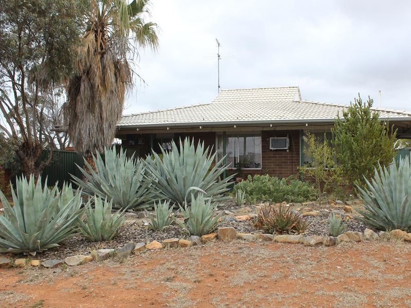 13 Hopbush St, Kambalda West