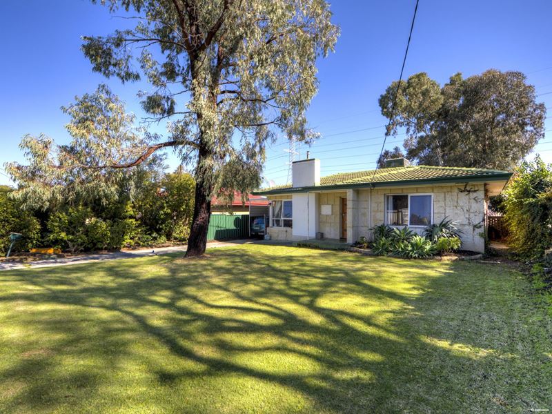 7 Mount Street, Bellevue