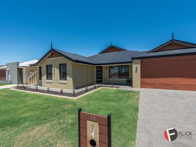 97 Kilkee Street, Ridgewood