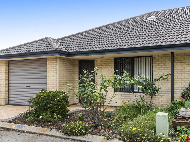 136/27 Pearson Drive, Success