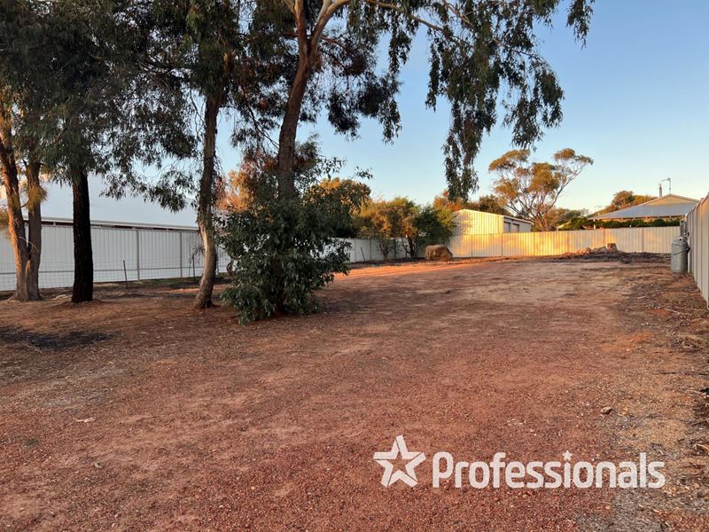 51 Argus Street, Narrogin