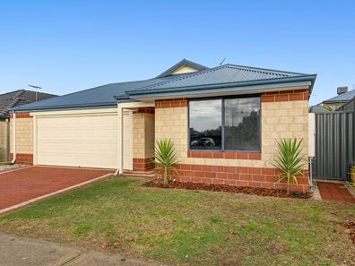 17 Rubens Circuit, Baldivis WA 6171